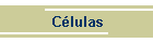 Clulas