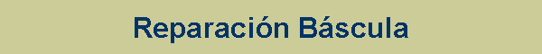 Reparacin Bscula